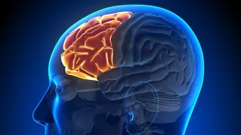 Prefrontal Korteks Aktivitesini Artırmak