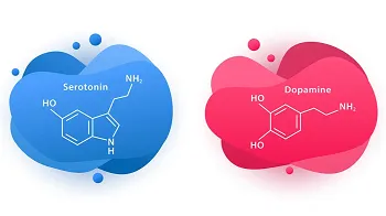 Dopamin-Serotonin Dengesi
